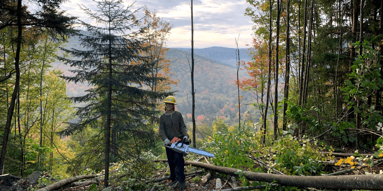 Conservation Legacy crew member working in a forested mountain landscape
